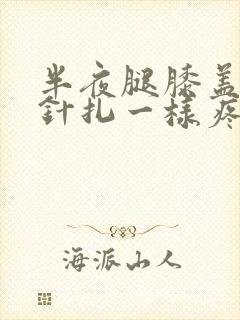 半夜腿膝盖里像针扎一样疼封面