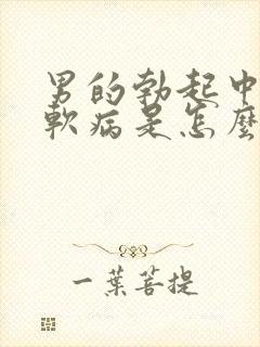 男的勃起中途疲软病是怎么回事