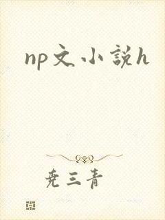np文小说h封面