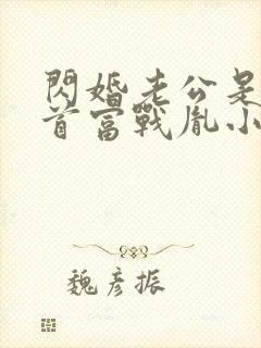 闪婚老公是千亿首富战胤小说最新