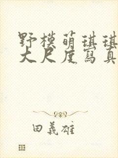 野模萌琪琪裸体大尺度写真视频