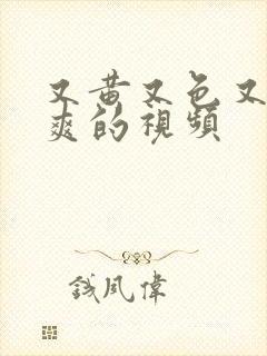 又黄又色又大又爽的视频