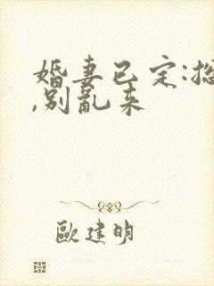 婚妻已定:总裁,别乱来