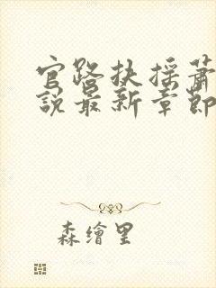 官路扶摇萧错小说最新章节