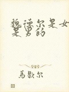 魏德尔是女的还是男的