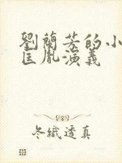 刘兰芳的小说赵匡胤演义