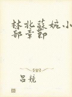 林北苏婉小说全部章节