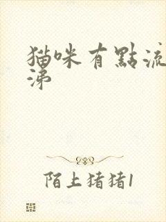 猫咪有点流清鼻涕