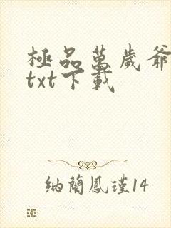 极品万岁爷完本txt下载