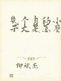 几个月的小猫肚子大是怎么回事