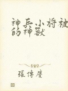 神兵小将被魔化的神兽