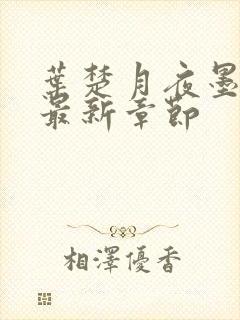 叶楚月夜墨寒的最新章节