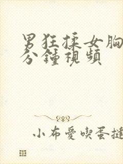 男狂揉女胸60分钟视频