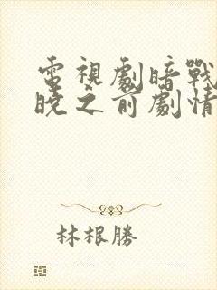 电视剧暗战在拂晓之前剧情介绍