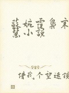 苏婉霍枭寒苏晓慧小说