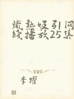 炽热吸引网剧在线播放25集免费观看