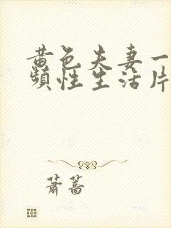 黄色夫妻一级视频性生活片