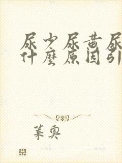 尿少尿黄尿频是什么原因引起的