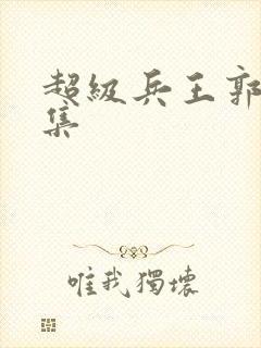 超级兵王郭璞全集