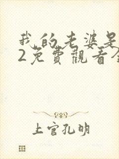 我的老婆是大佬2免费观看全集完整版高清封面