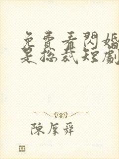 免费看闪婚老公是总裁短剧