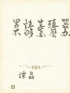 男性生殖器硬度不够怎么办