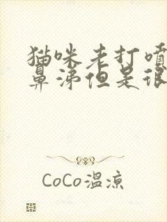 猫咪老打喷嚏流鼻涕但是很活跃封面