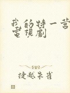 我的特一营完整电视剧