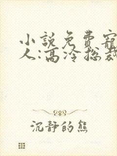 小说免费宠婚撩人:高冷总裁默默爱