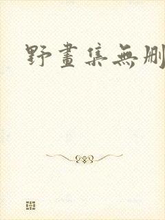 野画集无删减