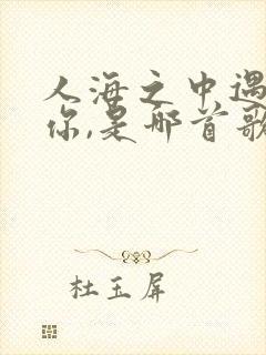 人海之中遇见了你,是哪首歌的词