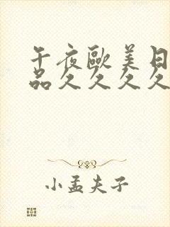 午夜欧美日韩精品久久久久久