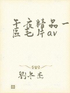 午夜精品一区二区毛片av