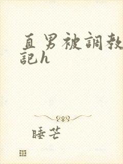 直男被调教沦陷记h