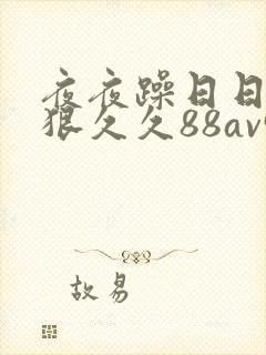 夜夜躁日日躁狠狠久久88av91