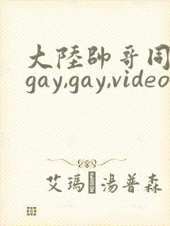 大陆帅哥同性恋gay,gay,videos