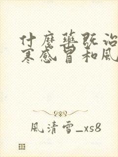 什么药既治疗风寒感冒和风热感冒