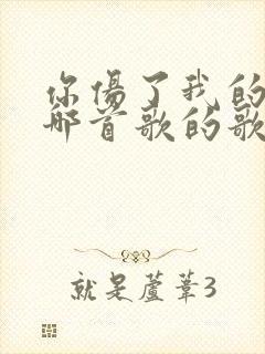 你伤了我的心是哪首歌的歌词