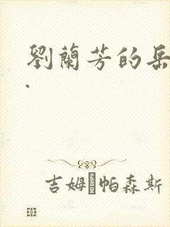 刘兰芳的岳飞传.