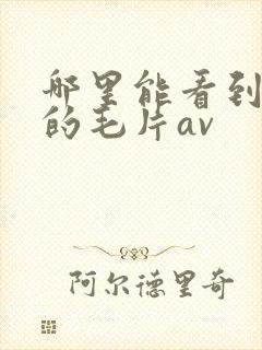 哪里能看到免费的毛片av