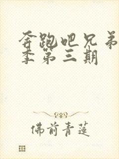 奔跑吧兄弟第七季第三期