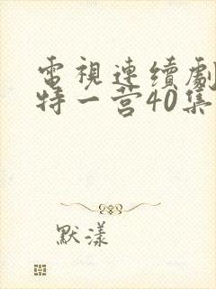 电视连续剧我的特一营40集