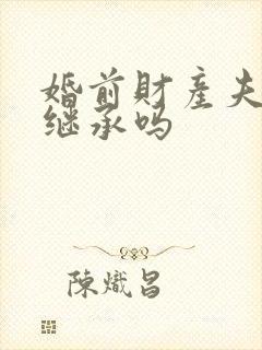 婚前财产夫妻能继承吗