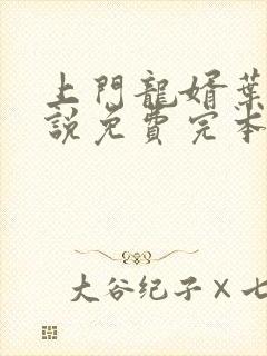 上门龙婿叶辰小说免费完本