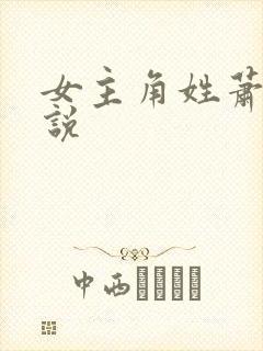 女主角姓萧的小说