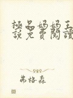 极品妈妈王伟小说免费阅读全文最新封面