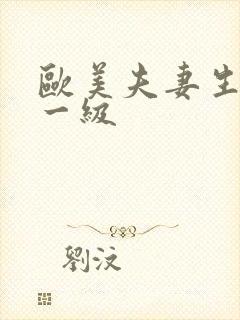 欧美夫妻生活片一级