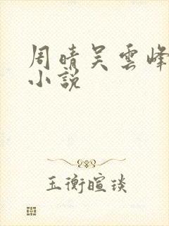 周晴吴云峰李磊小说封面