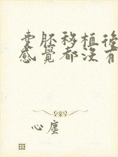 囊胚移植后一点感觉都没有