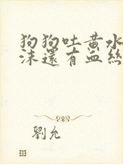 狗狗吐黄水带泡沫还有血丝